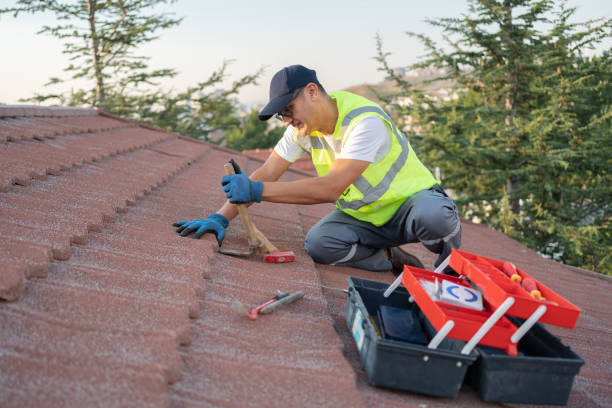 Roof Gutter Cleaning in Kensington, MD